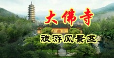 看大鸡巴把逼操出血视频中国浙江-新昌大佛寺旅游风景区